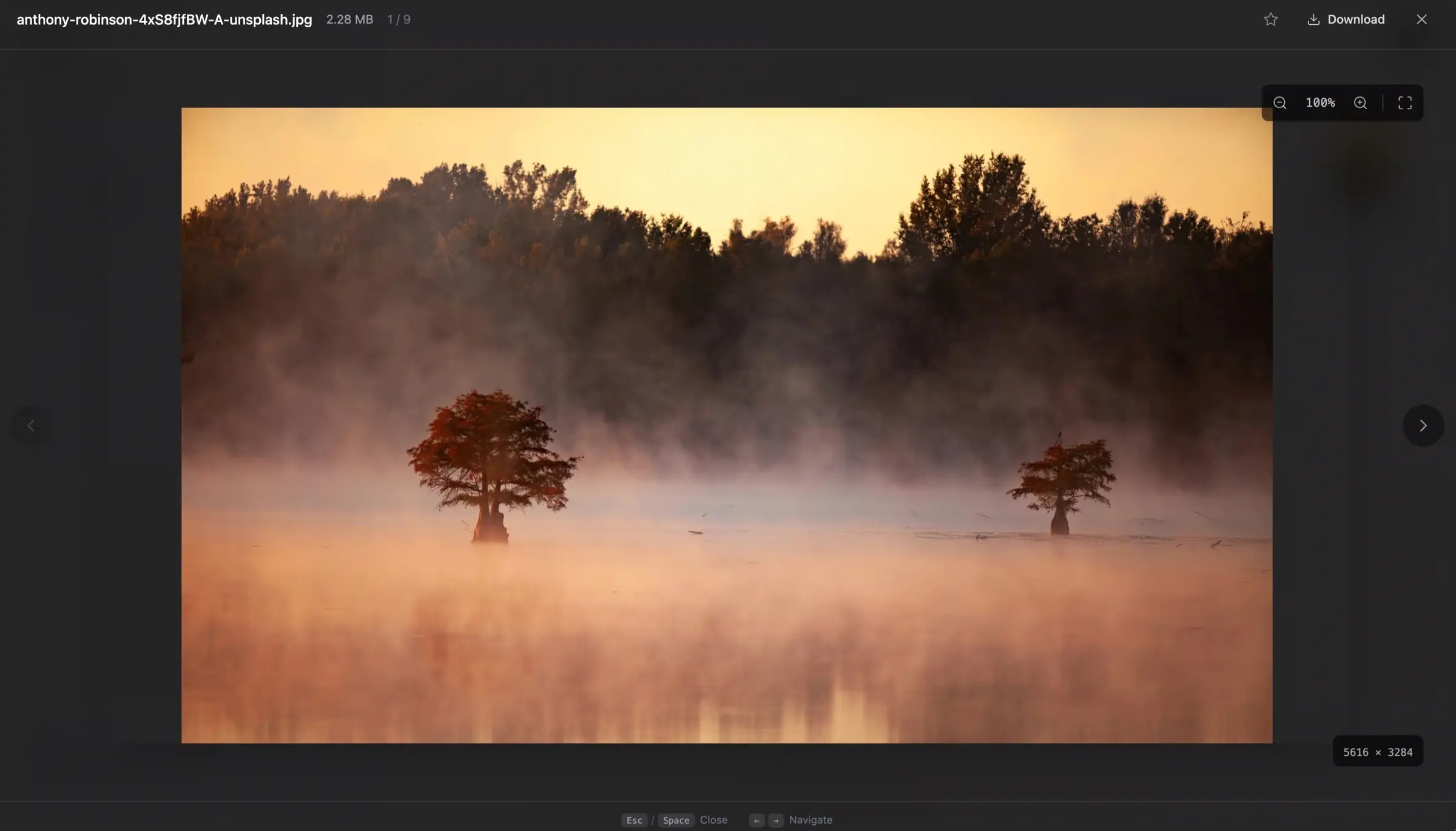 An image preview in Nemi